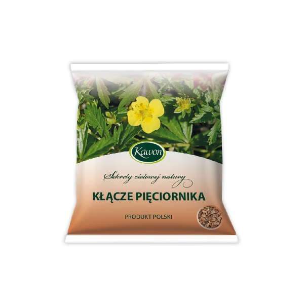 Kłącze pięciornika 50g Kawon