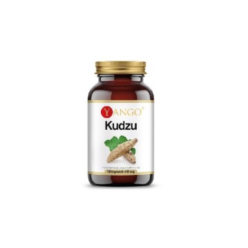 karczoch, kapsułki, ekstrakt z karczocha,cynaryna, yango, 